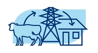 cow, electric tower, house interconnected